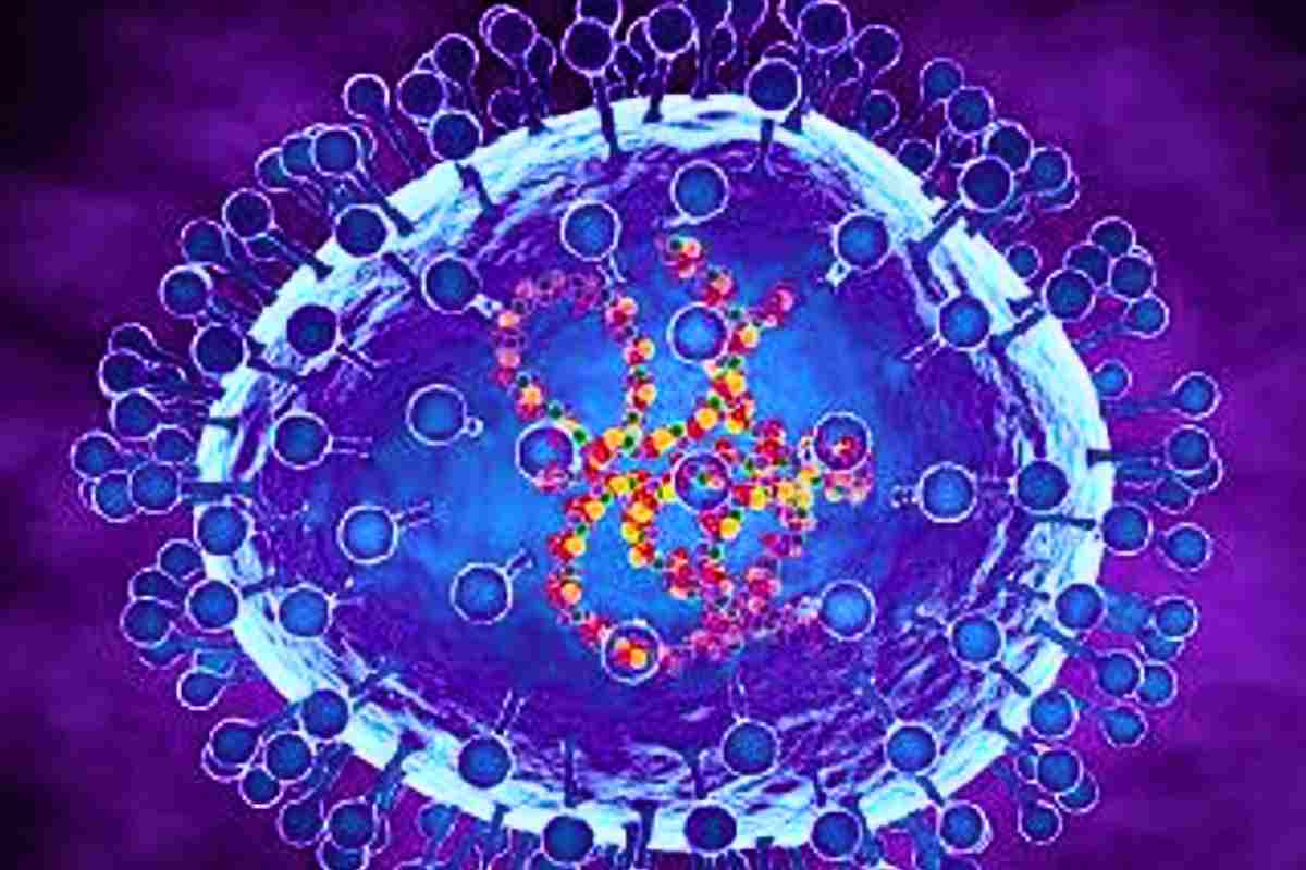 Il Metapneumovirus umano analizzato al microscopio